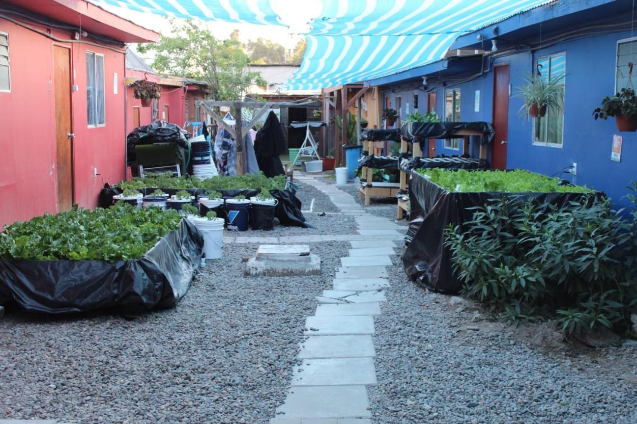 El Valle Copiapó Zewnętrze zdjęcie